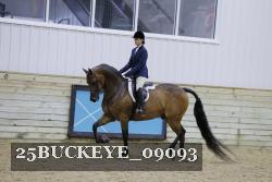 25BUCKEYE_09093 thumbnail