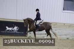 25BUCKEYE_09094 thumbnail