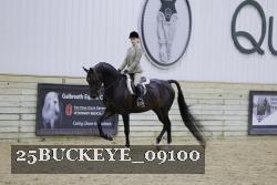 25BUCKEYE_09100 thumbnail