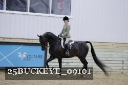 25BUCKEYE_09101 thumbnail