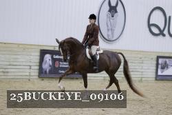 25BUCKEYE_09106 thumbnail