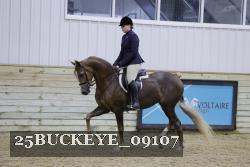 25BUCKEYE_09107 thumbnail
