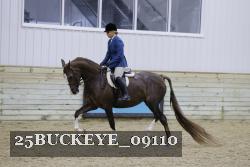 25BUCKEYE_09110 thumbnail