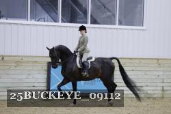 25BUCKEYE_09112 thumbnail