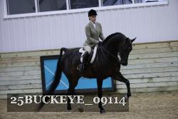 25BUCKEYE_09114 thumbnail