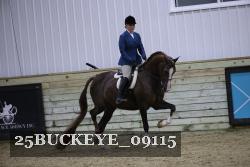 25BUCKEYE_09115 thumbnail
