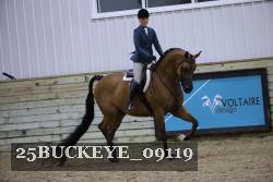 25BUCKEYE_09119 thumbnail