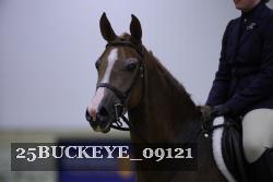 25BUCKEYE_09121 thumbnail