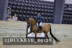 25BUCKEYE_09128 thumbnail