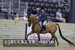 25BUCKEYE_09130 thumbnail