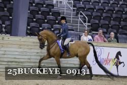 25BUCKEYE_09131 thumbnail