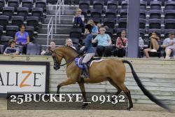 25BUCKEYE_09132 thumbnail