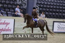25BUCKEYE_09137 thumbnail