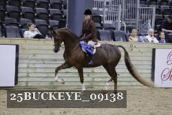25BUCKEYE_09138 thumbnail