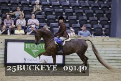 25BUCKEYE_09140 thumbnail