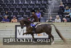 25BUCKEYE_09141 thumbnail