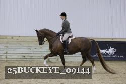 25BUCKEYE_09144 thumbnail