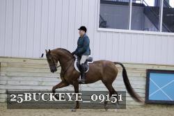 25BUCKEYE_09151 thumbnail