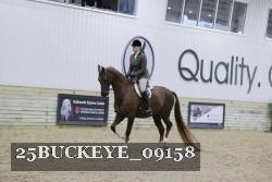 25BUCKEYE_09158 thumbnail