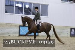 25BUCKEYE_09159 thumbnail