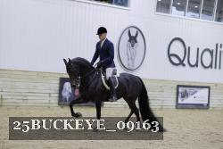 25BUCKEYE_09163 thumbnail