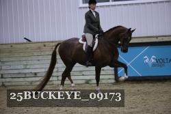 25BUCKEYE_09173 thumbnail