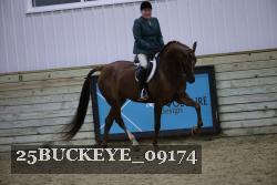 25BUCKEYE_09174 thumbnail