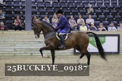 25BUCKEYE_09187 thumbnail