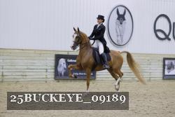 25BUCKEYE_09189 thumbnail