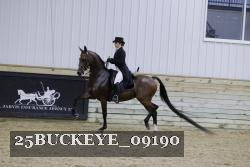 25BUCKEYE_09190 thumbnail
