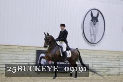 25BUCKEYE_09191 thumbnail