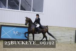 25BUCKEYE_09192 thumbnail