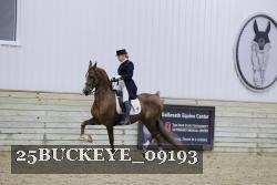 25BUCKEYE_09193 thumbnail