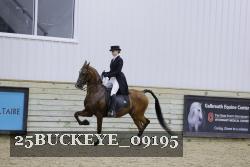 25BUCKEYE_09195 thumbnail