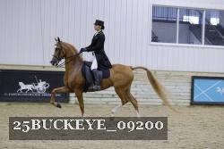 25BUCKEYE_09200 thumbnail