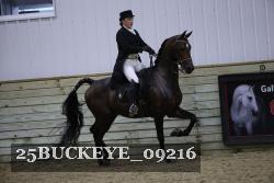 25BUCKEYE_09216 thumbnail