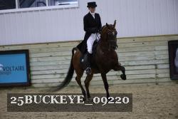 25BUCKEYE_09220 thumbnail