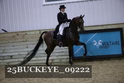 25BUCKEYE_09222 thumbnail