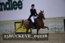 25BUCKEYE_09228 thumbnail