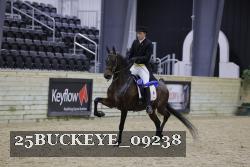 25BUCKEYE_09238 thumbnail