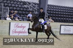 25BUCKEYE_09239 thumbnail