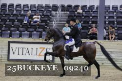 25BUCKEYE_09240 thumbnail