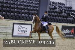 25BUCKEYE_09245 thumbnail