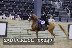 25BUCKEYE_09248 thumbnail