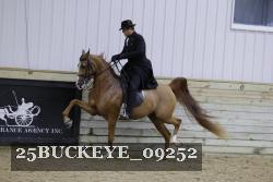 25BUCKEYE_09252 thumbnail