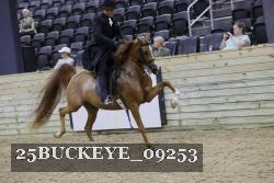 25BUCKEYE_09253 thumbnail