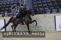 25BUCKEYE_09254 thumbnail