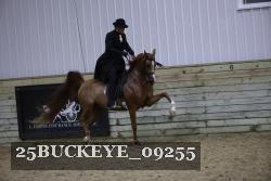 25BUCKEYE_09255 thumbnail