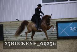 25BUCKEYE_09256 thumbnail