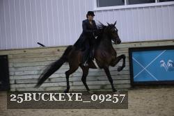 25BUCKEYE_09257 thumbnail